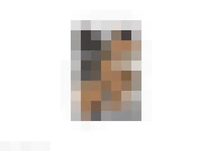 Blankenstrjitte 36 Kollumersweach thumbnail 59