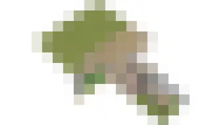 Blankenstrjitte 36 Kollumersweach thumbnail 6