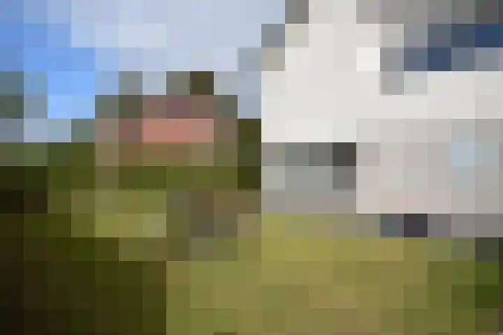Blankenstrjitte 36 Kollumersweach thumbnail 8
