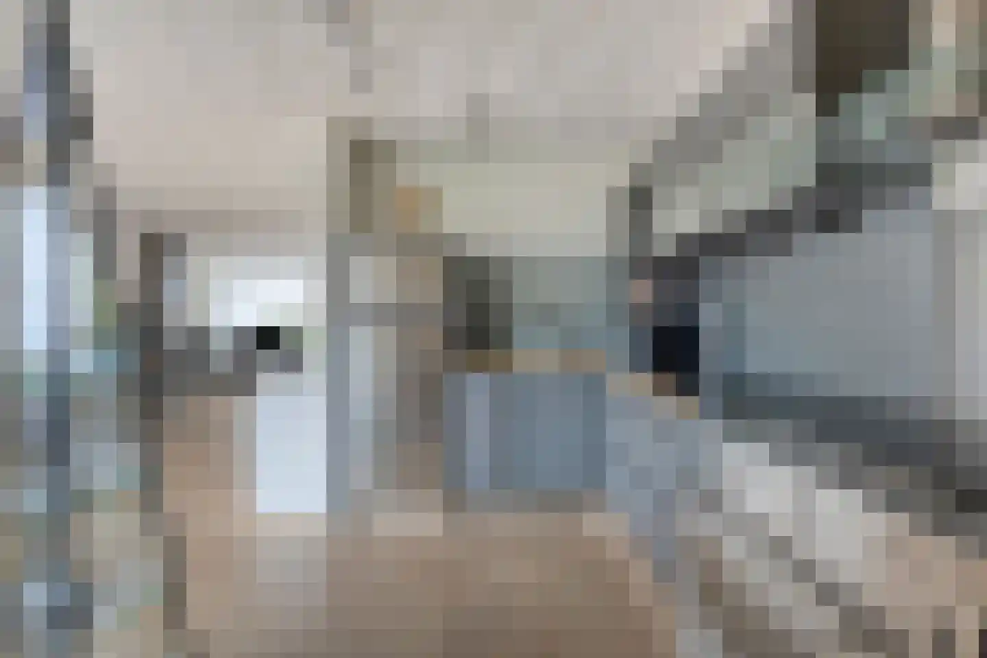 Blankenweg 12 Bergschenhoek thumbnail 15