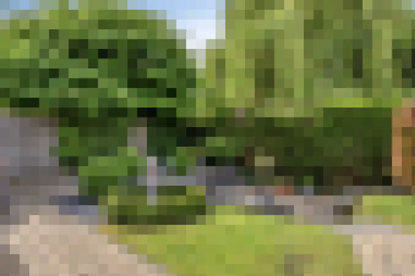 Blankenweg 12 Bergschenhoek thumbnail 37