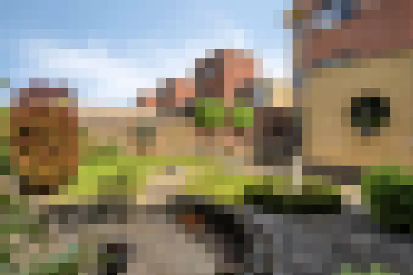 Blankenweg 12 Bergschenhoek thumbnail 39