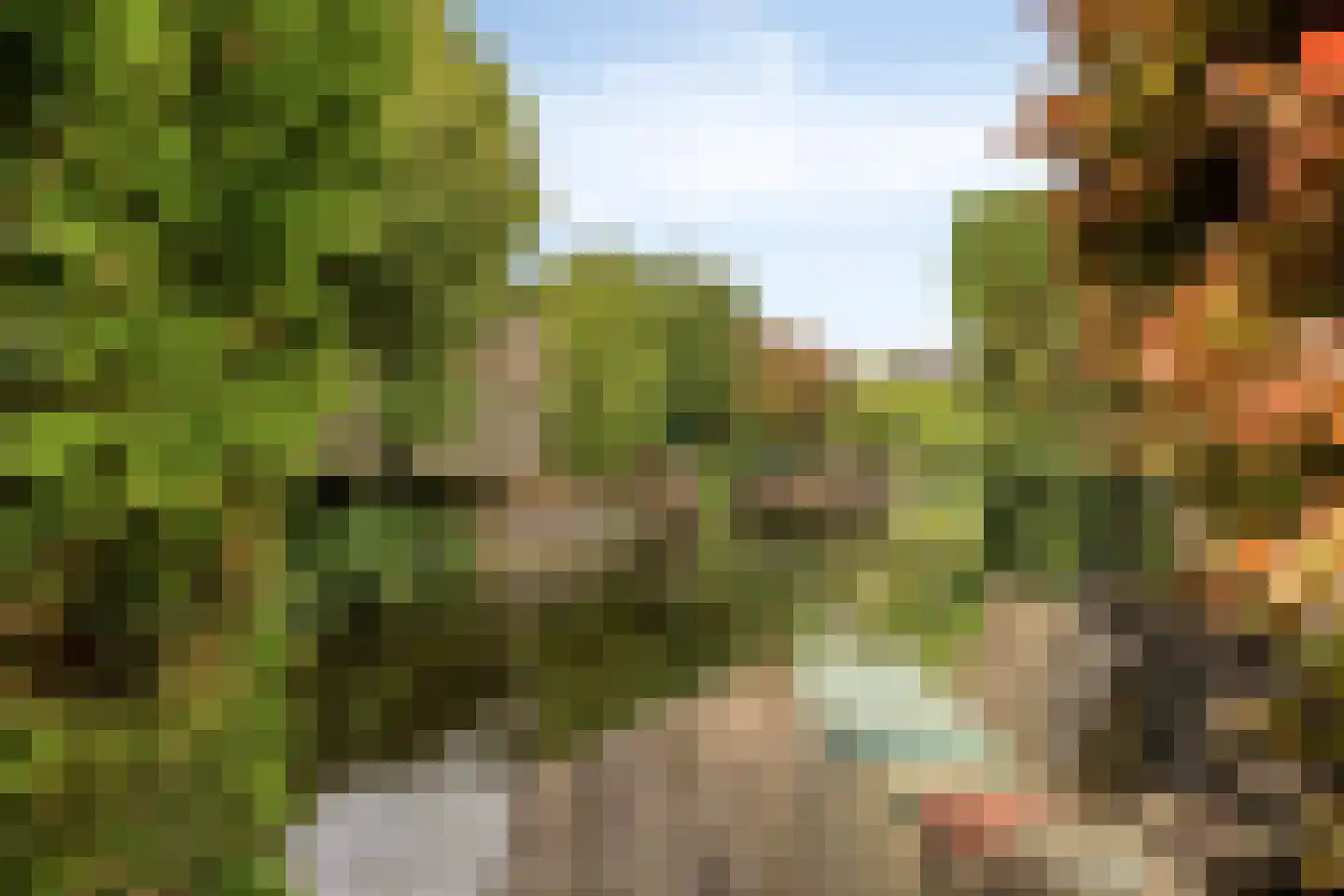 Blankenweg 12 Bergschenhoek thumbnail 40