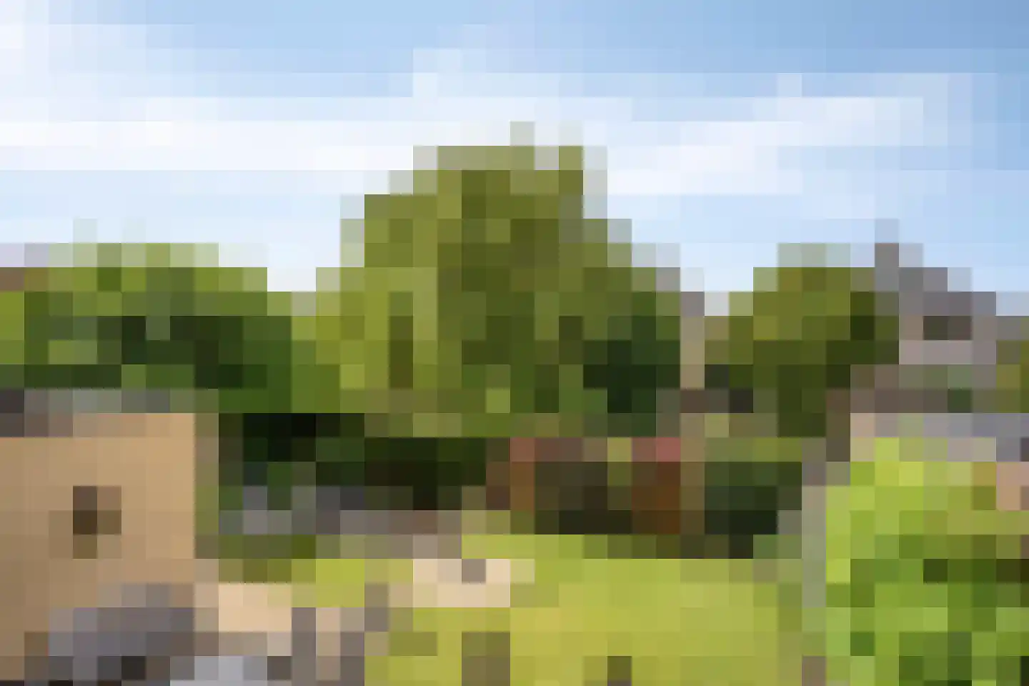 Blankenweg 12 Bergschenhoek thumbnail 43