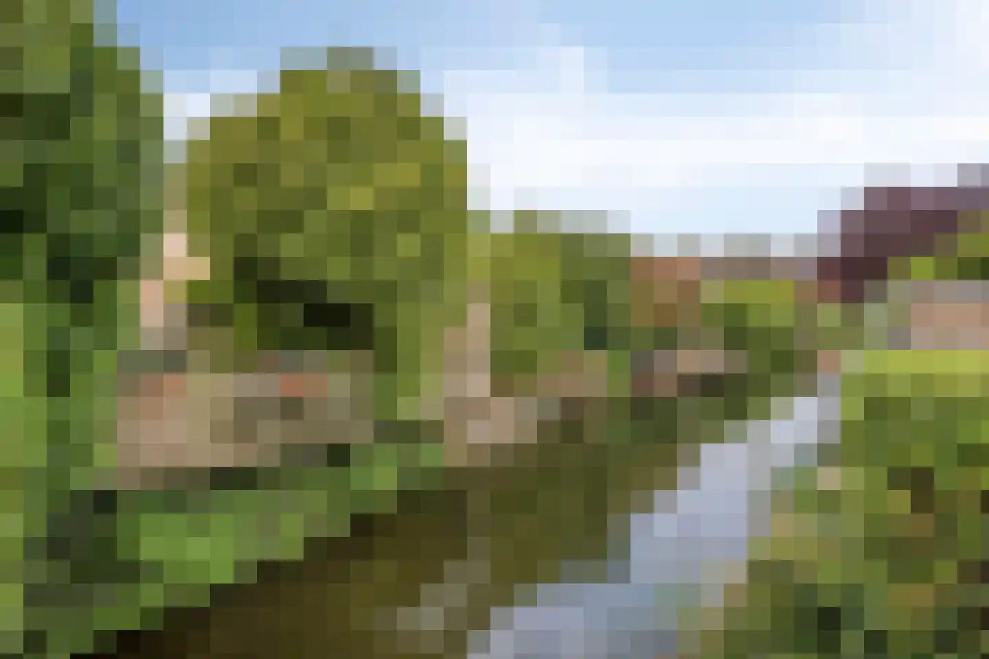 Blankenweg 12 Bergschenhoek thumbnail 45