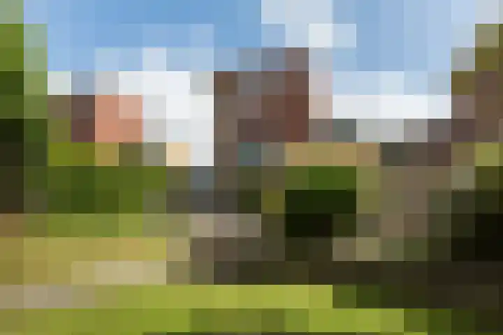 Blankenweg 14 Bergschenhoek thumbnail 4