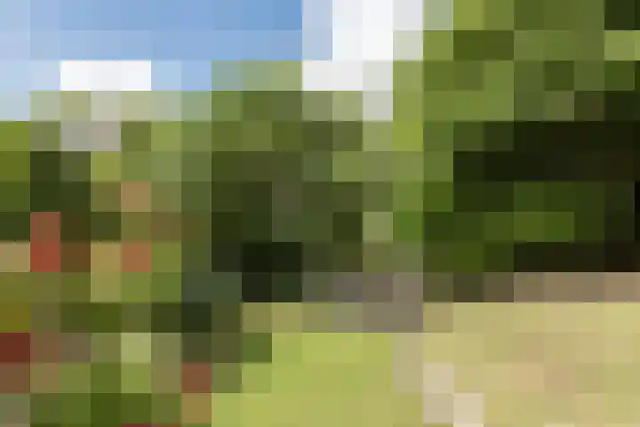 Blankenweg 14 Bergschenhoek thumbnail 42