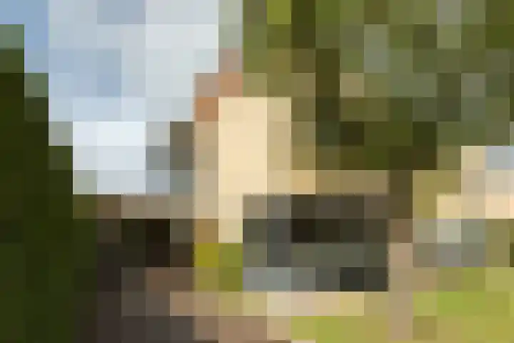 Blankenweg 14 Bergschenhoek thumbnail 5