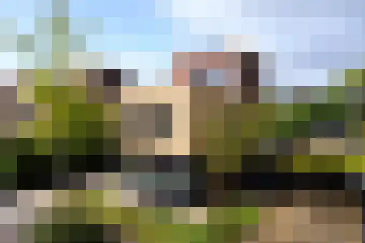 Blankenweg 14 Bergschenhoek thumbnail 6
