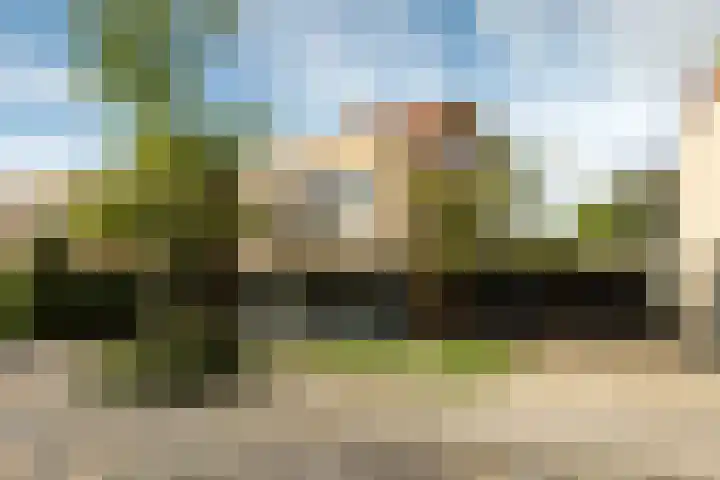 Blankenweg 14 Bergschenhoek thumbnail 8