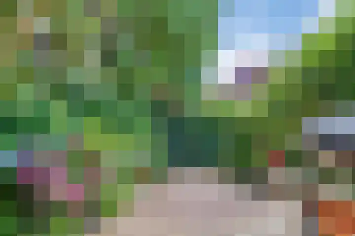 Blankenweg 32 Bergschenhoek thumbnail 36