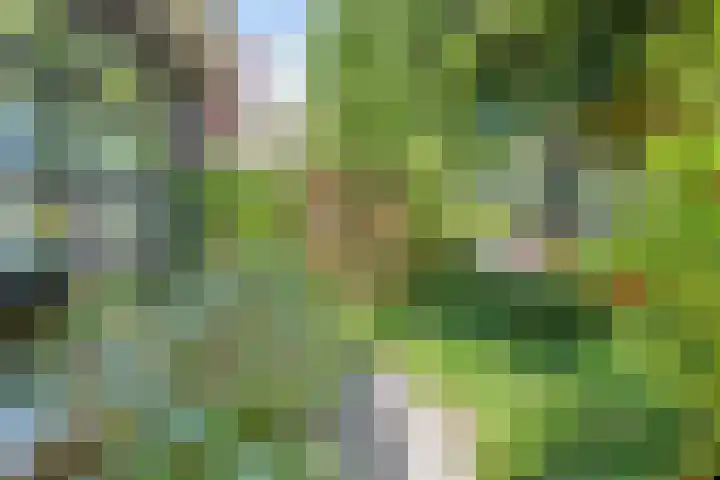 Blankenweg 32 Bergschenhoek thumbnail 43