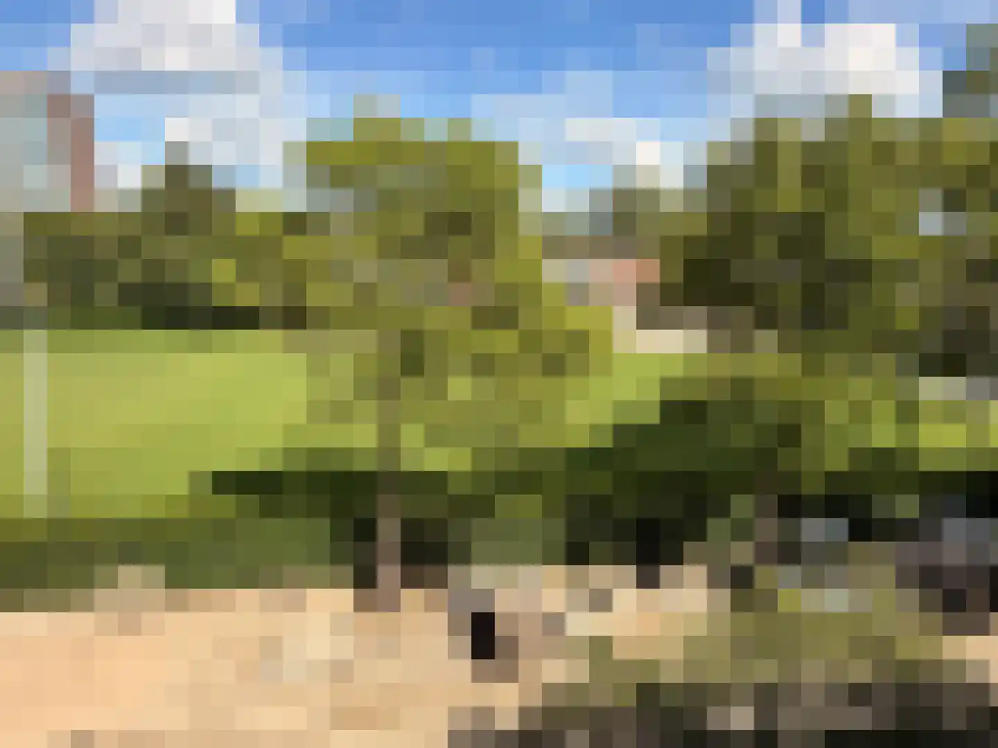 Blankershoek 49 Rotterdam thumbnail 4