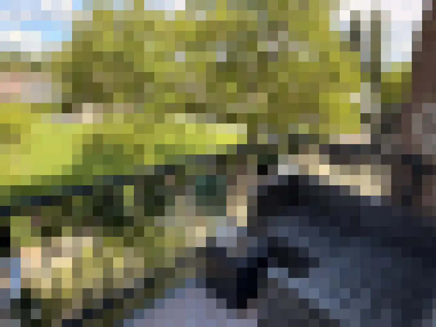 Blankershoek 49 Rotterdam thumbnail 6