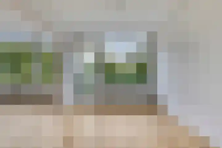 Blankershoek 7 Rotterdam thumbnail 13