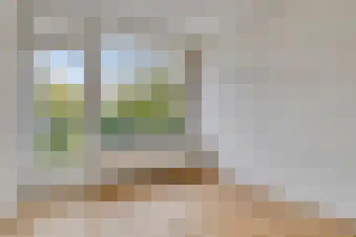 Blankershoek 7 Rotterdam thumbnail 14