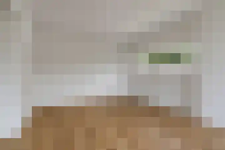 Blankershoek 7 Rotterdam thumbnail 17