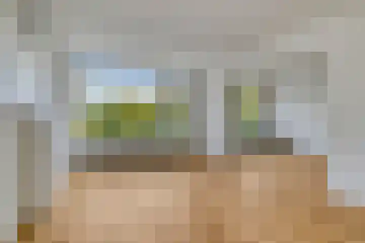 Blankershoek 7 Rotterdam thumbnail 19