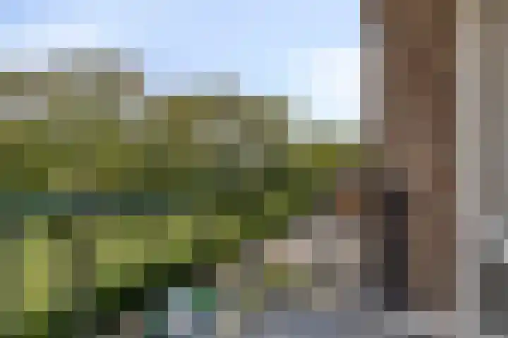 Blankershoek 7 Rotterdam thumbnail 20