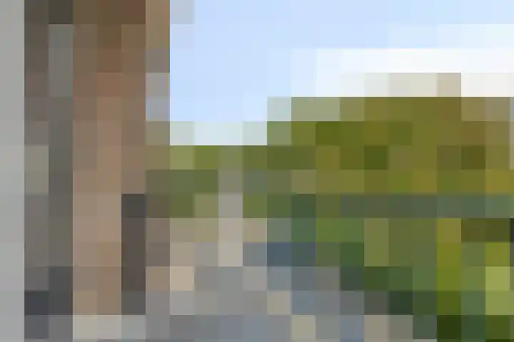 Blankershoek 7 Rotterdam thumbnail 21