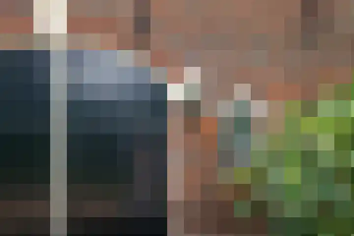 Blankersweg 3 Winterswijk Kotten thumbnail 10