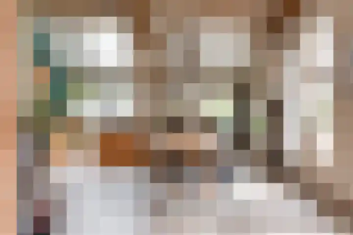 Blankersweg 3 Winterswijk Kotten thumbnail 15