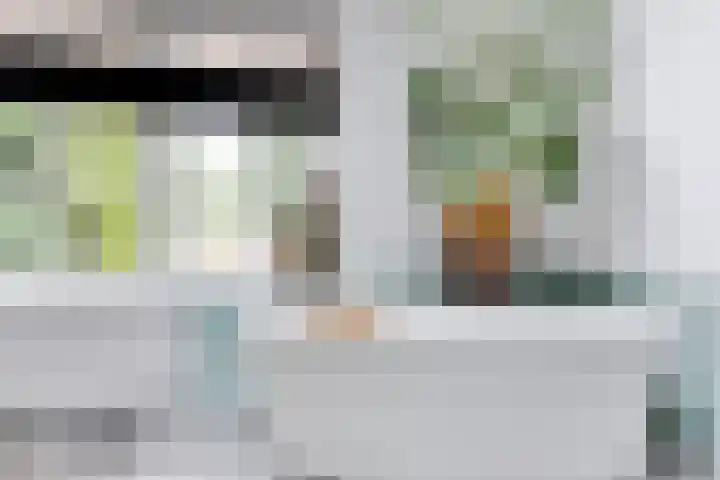 Blankersweg 3 Winterswijk Kotten thumbnail 33