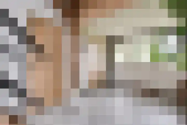 Blankersweg 3 Winterswijk Kotten thumbnail 37