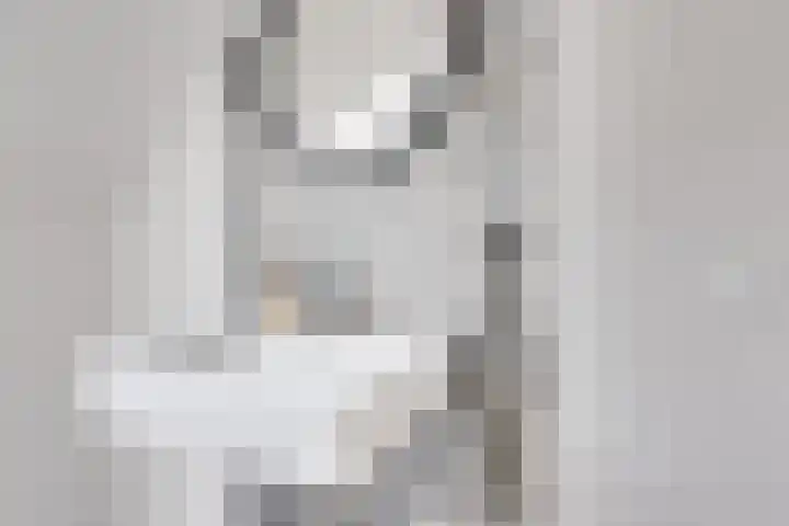 Blankersweg 3 Winterswijk Kotten thumbnail 49