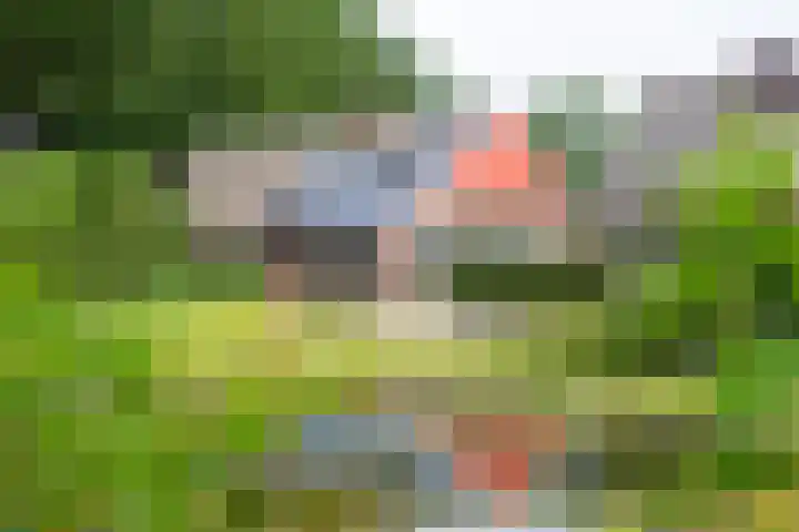 Blankersweg 3 Winterswijk Kotten thumbnail 5