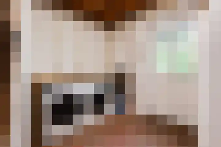 Blankersweg 3 Winterswijk Kotten thumbnail 53