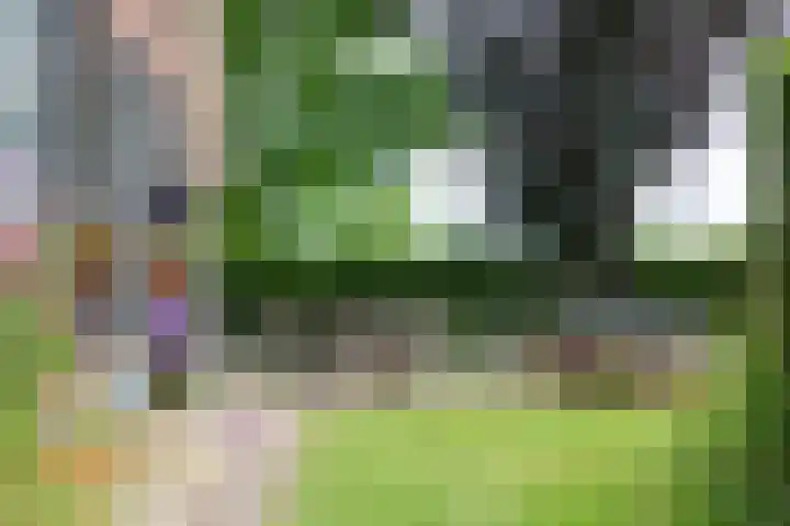 Blankersweg 3 Winterswijk Kotten thumbnail 57