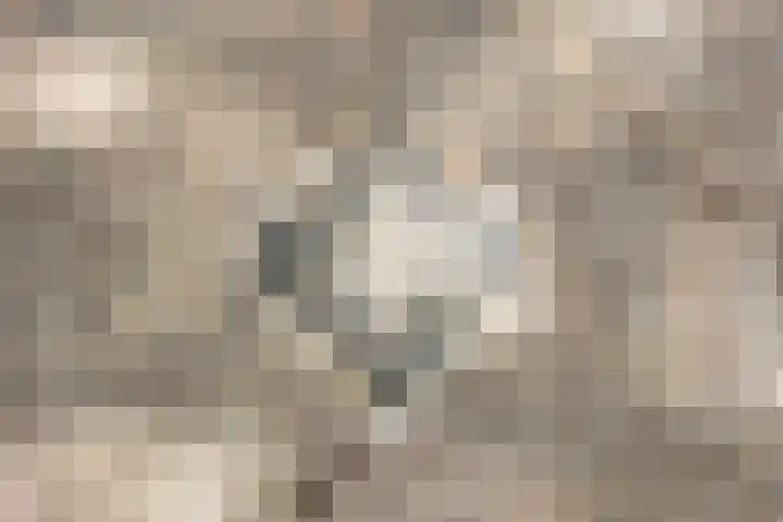Blankersweg 3 Winterswijk Kotten thumbnail 58