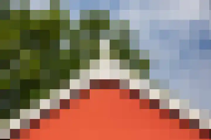 Blankersweg 3 Winterswijk Kotten thumbnail 6
