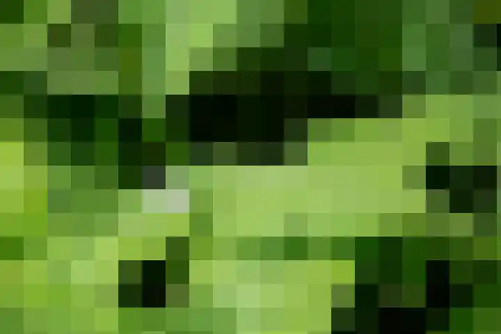Blankersweg 3 Winterswijk Kotten thumbnail 61