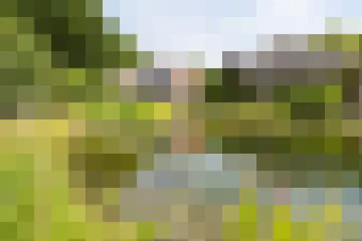 Blankersweg 3 Winterswijk Kotten thumbnail 62