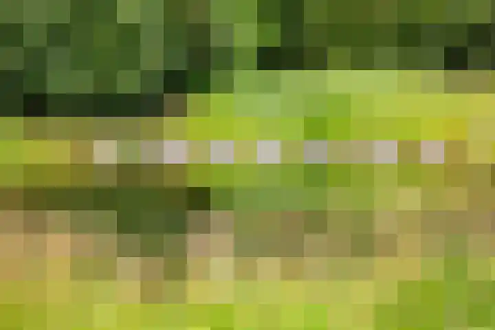 Blankersweg 3 Winterswijk Kotten thumbnail 64