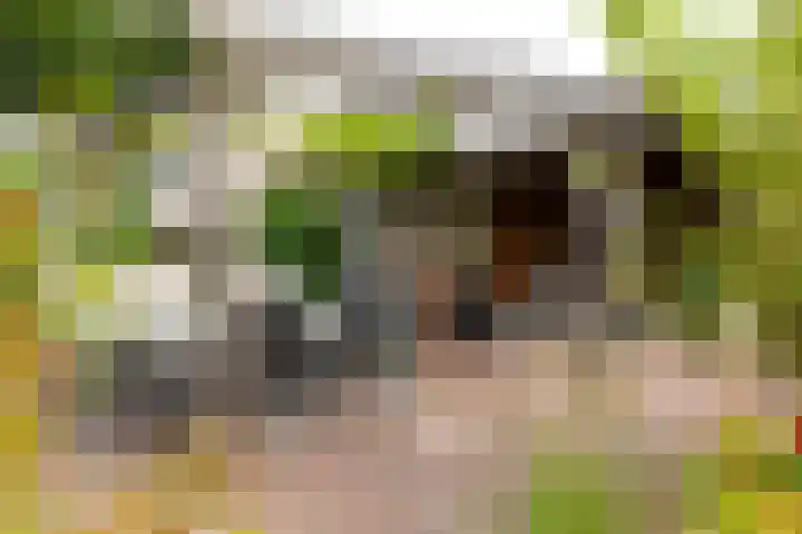 Blankersweg 3 Winterswijk Kotten thumbnail 66