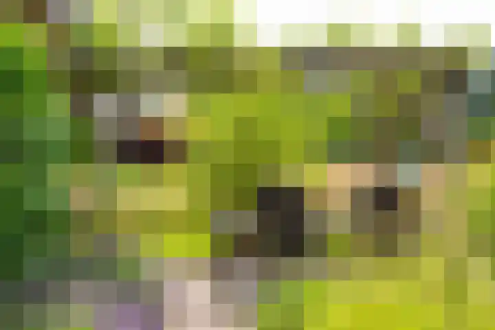 Blankersweg 3 Winterswijk Kotten thumbnail 67