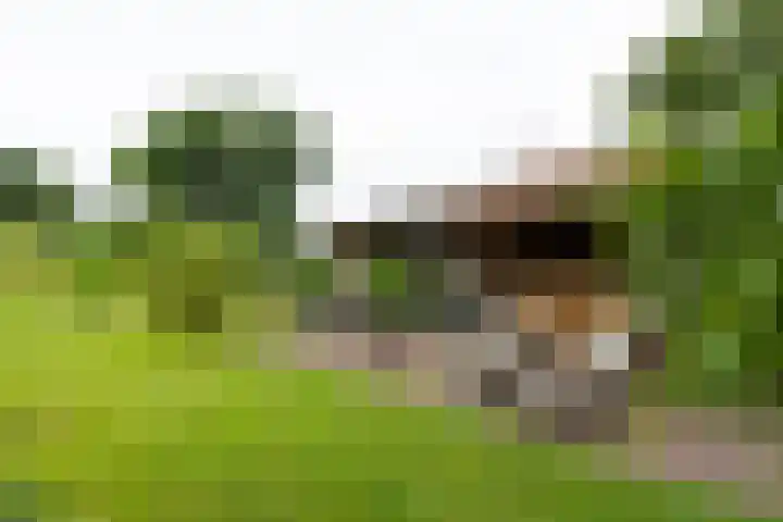 Blankersweg 3 Winterswijk Kotten thumbnail 69