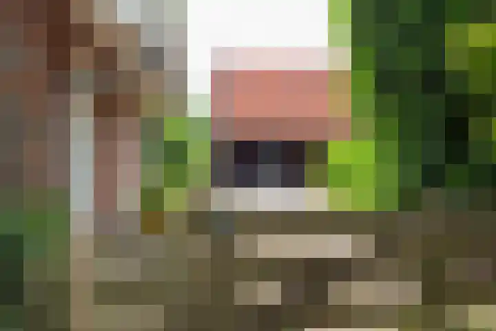 Blankersweg 3 Winterswijk Kotten thumbnail 70