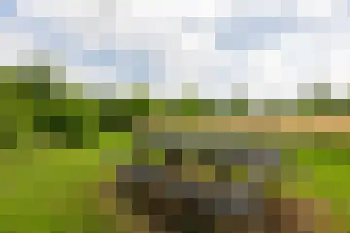 Blankersweg 3 Winterswijk Kotten thumbnail 72