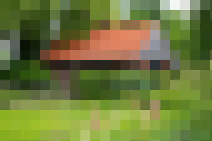Blankersweg 3 Winterswijk Kotten thumbnail 73