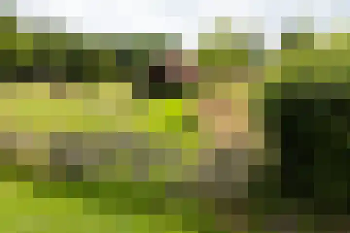 Blankersweg 3 Winterswijk Kotten thumbnail 77