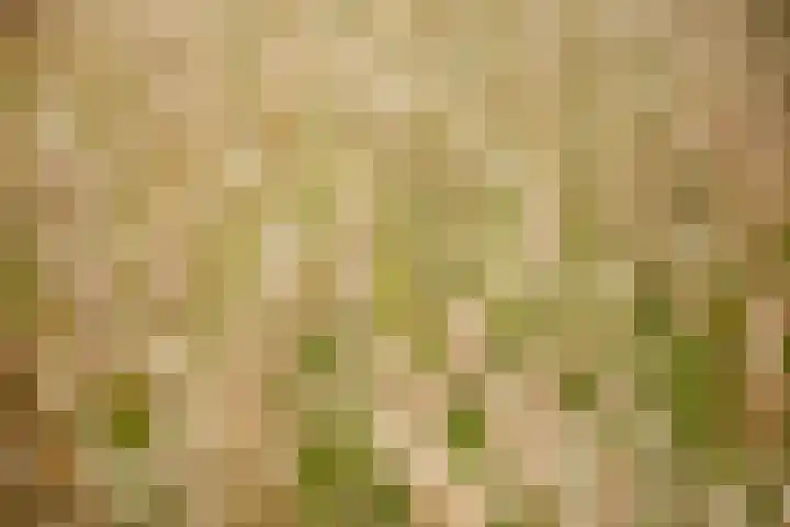 Blankersweg 3 Winterswijk Kotten thumbnail 78