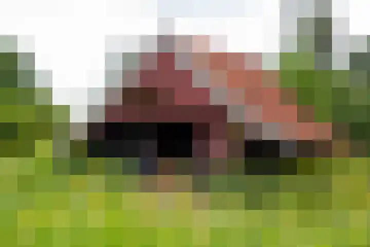 Blankersweg 3 Winterswijk Kotten thumbnail 79