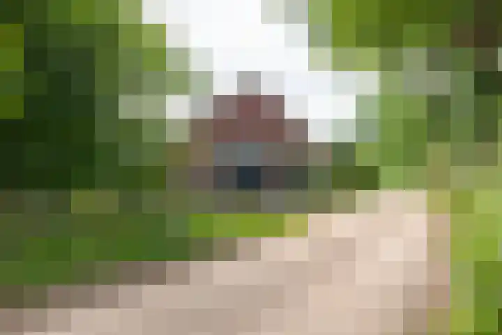Blankersweg 3 Winterswijk Kotten thumbnail 8