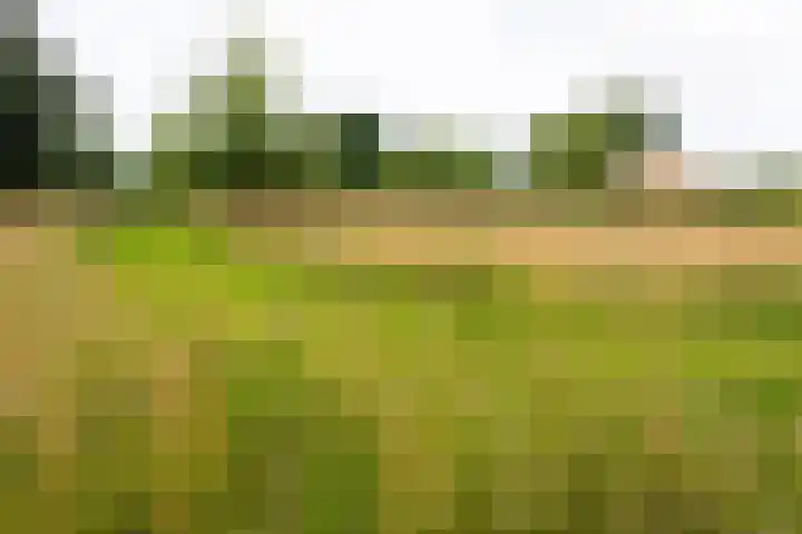 Blankersweg 3 Winterswijk Kotten thumbnail 80