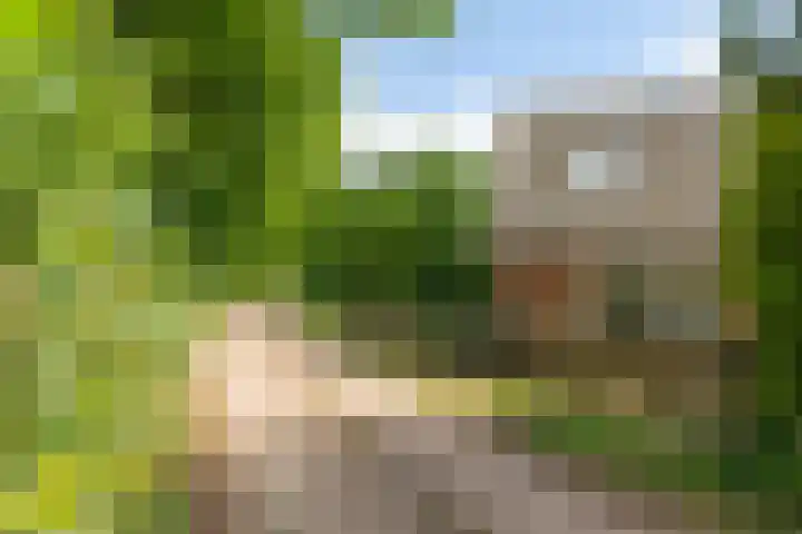 Blankersweg 3 Winterswijk Kotten thumbnail 82