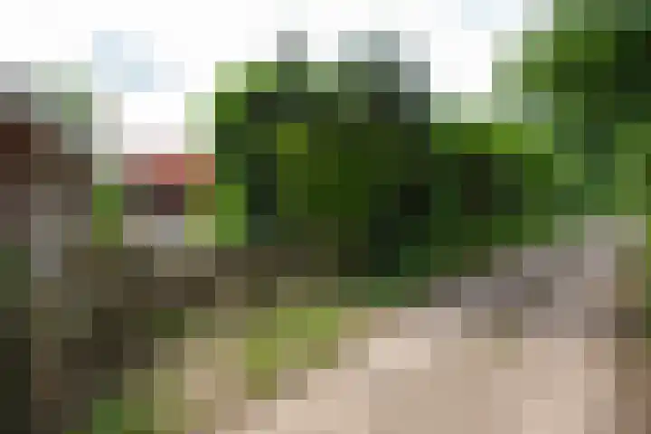 Blankersweg 3 Winterswijk Kotten thumbnail 83